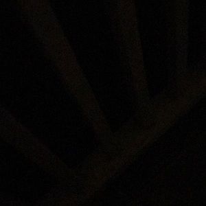 Meet your Posher, Randy